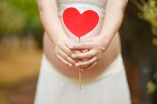 人工代怀孕妈胎儿入盆详解 人工代怀孕妈胎儿入盆详解